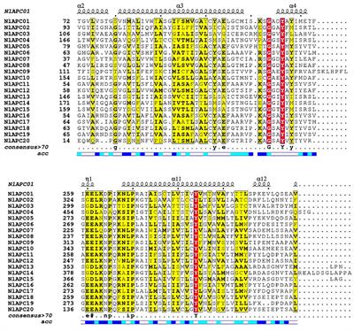 Genome-Wide Identification and Characterization of Amino Acid Polyamine Organocation Transporter Family Genes Reveal Their Role in Fecundity Regulation in a Brown Planthopper Species (Nilaparvata lugens)